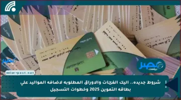 شروط جديدة.. إليك الفئات والأوراق المطلوبة لإضافة المواليد على بطاقة التموين 2025 وخطوات التسجيل